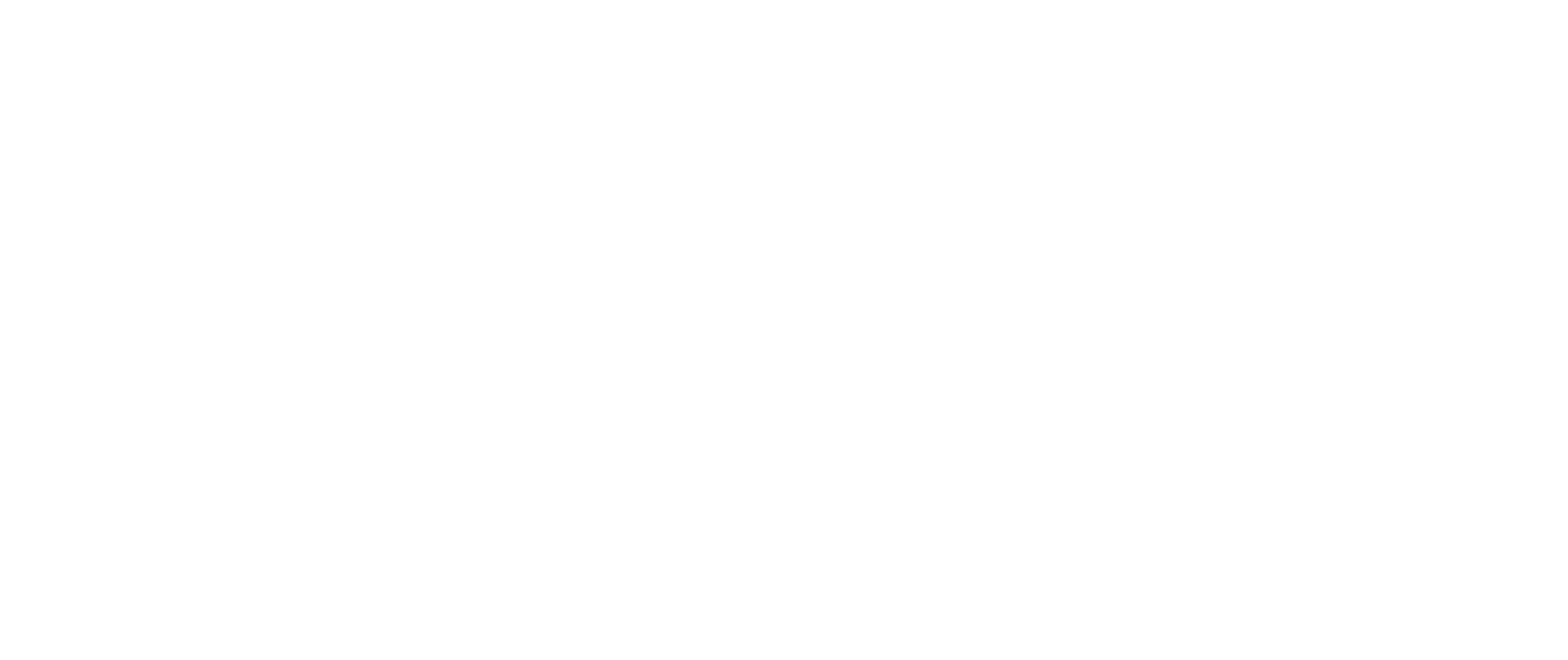 NisckoProject scaled